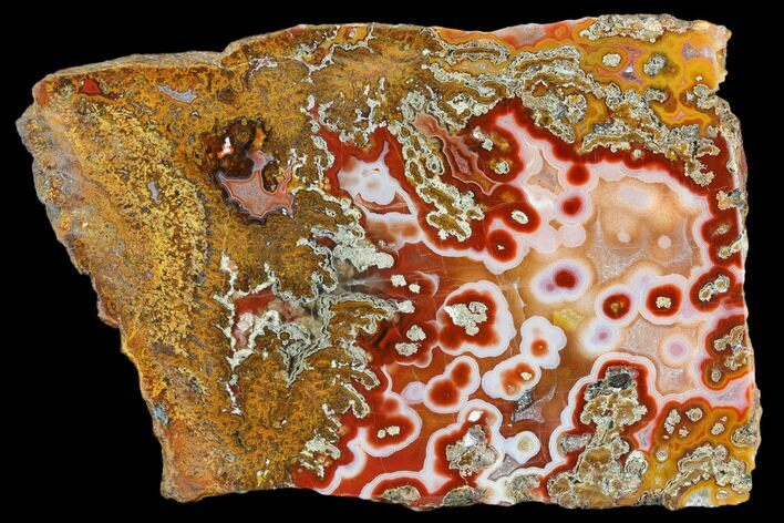 Colorful, Polished Plume Agate Slab - Morocco #114884